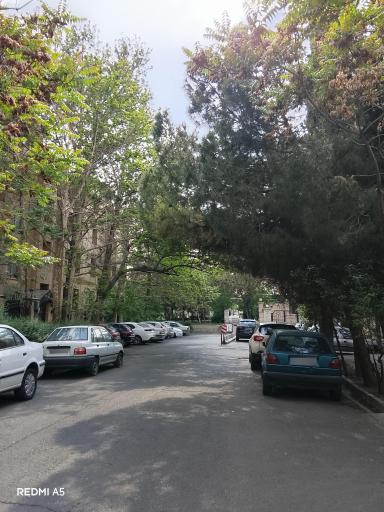عکس بوستان شمس