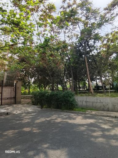 عکس بوستان شمس