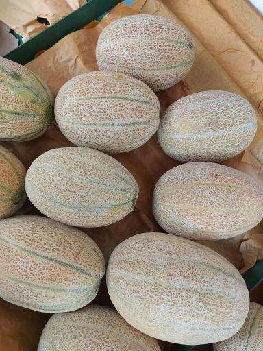 سوپر میوه المهدی