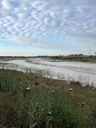 عکس رود تجن