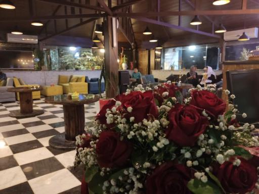 عکس کافه زد