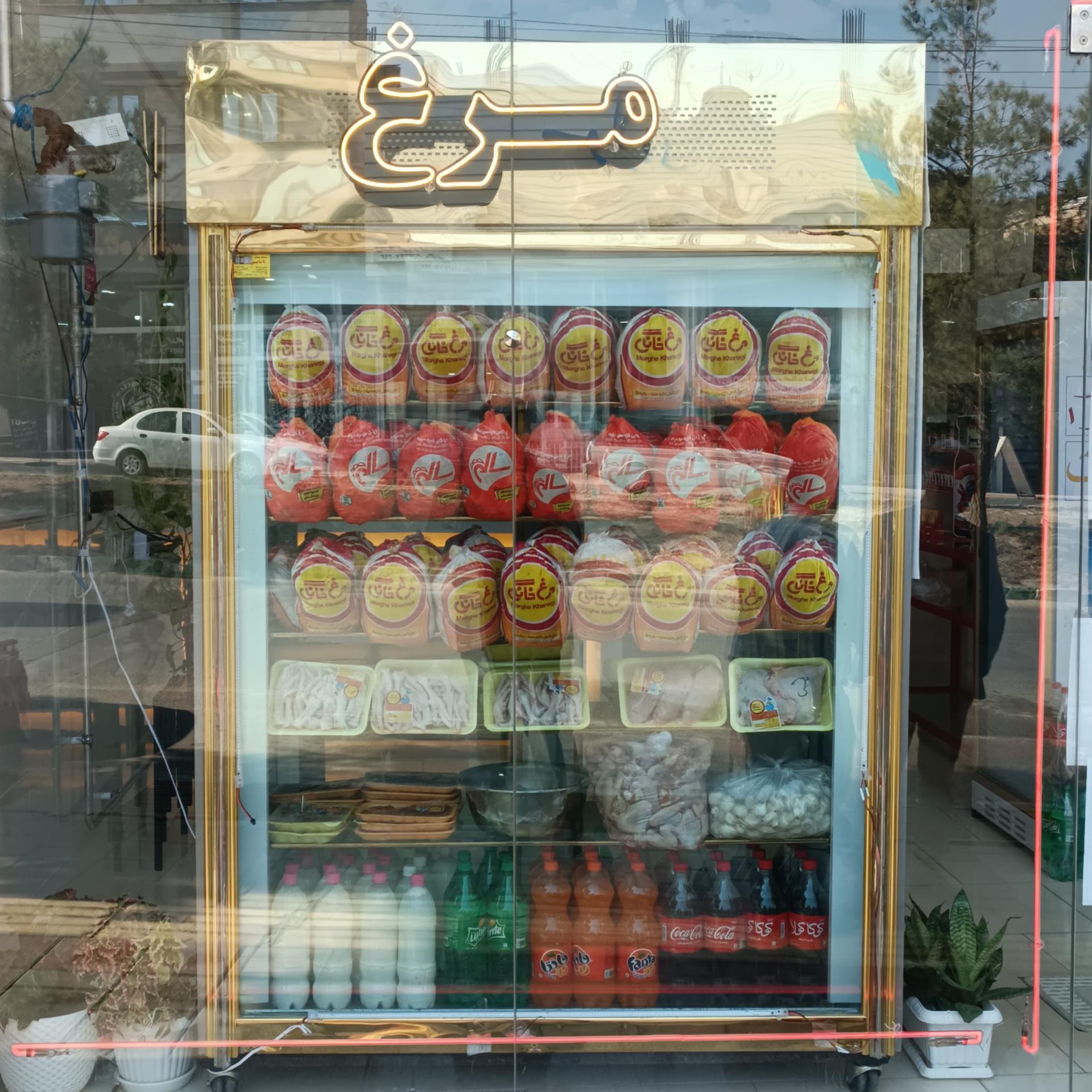 عکس مرغ پاطلا