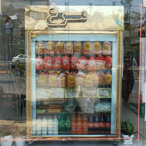 عکس مرغ پاطلا