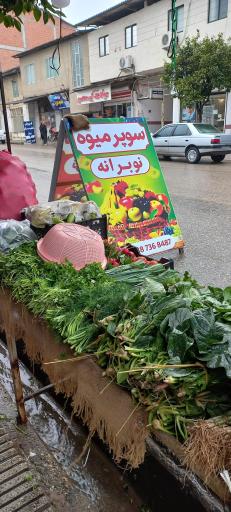 عکس سوپر میوه نوبرانه آقای کلبادی