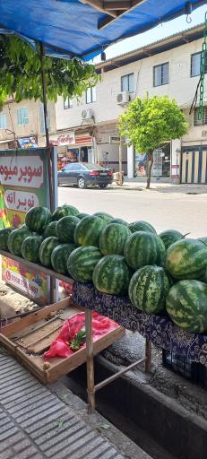 عکس سوپر میوه نوبرانه آقای کلبادی