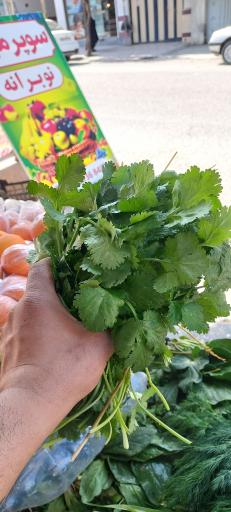 عکس سوپر میوه نوبرانه آقای کلبادی