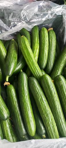 عکس سوپر میوه نوبرانه آقای کلبادی