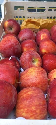 سوپر میوه نوبرانه آقای کلبادی
