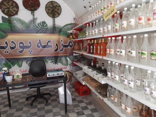 سبزیجات خشک پودینه طبس