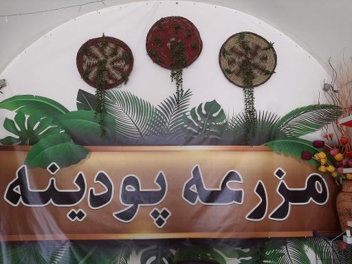 عکس سبزیجات خشک پودینه طبس