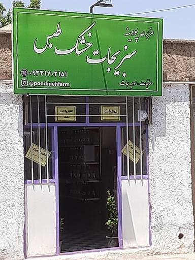 عکس سبزیجات خشک پودینه طبس