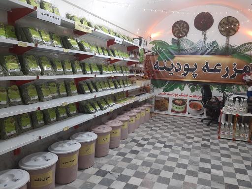 سبزیجات خشک پودینه طبس