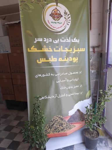 سبزیجات خشک پودینه طبس