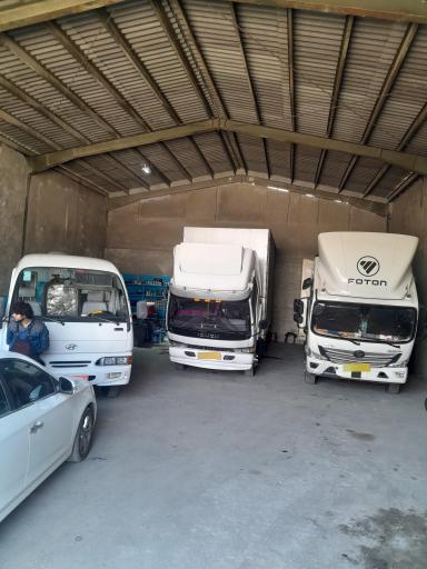 عکس باطریسازی امیر