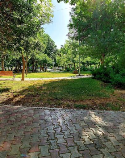 عکس بوستان توحید