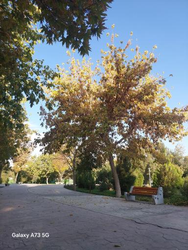 عکس پارک لاله 