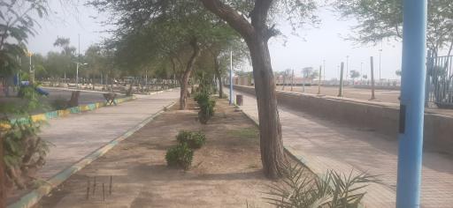 عکس پارک ساحلی بندر امام خمینی