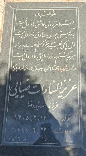 عکس عزیز السادات ضیائی