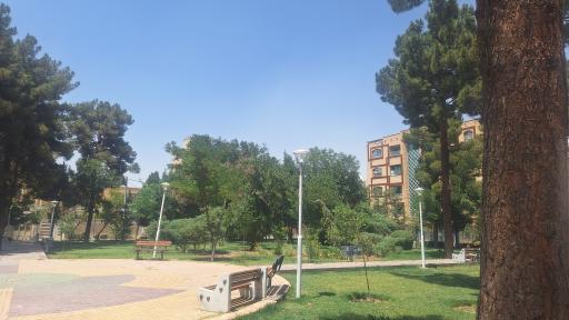 عکس پارک لاله 