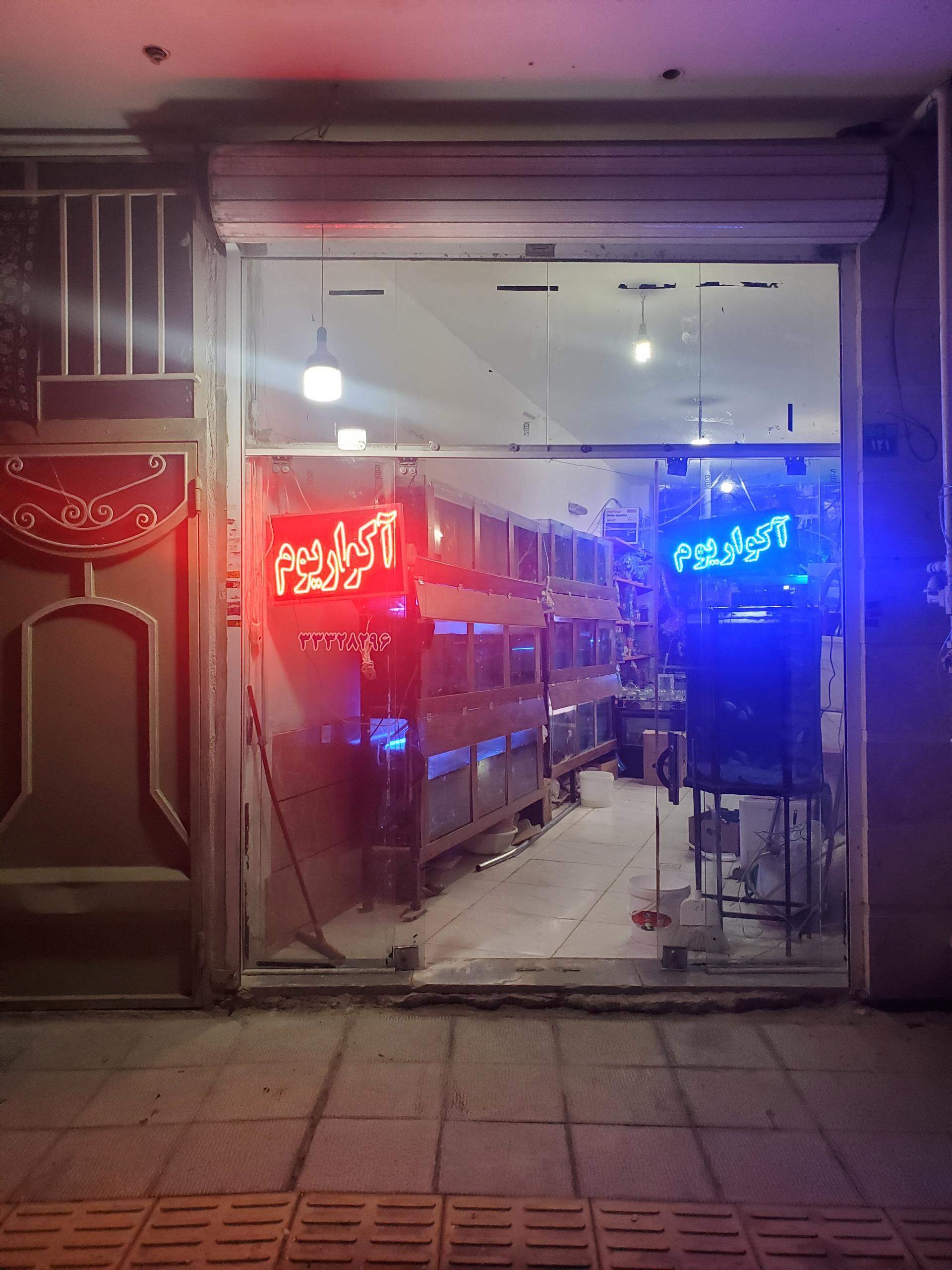عکس فروشگاه گلدفیش آکواریوم