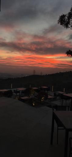 عکس کافه رستوران فرلا