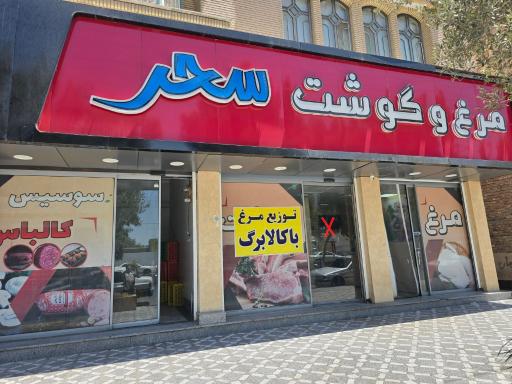 عکس مرغ سحر کمالی