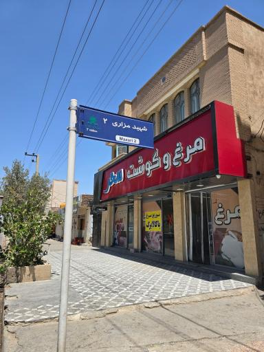 عکس مرغ سحر کمالی