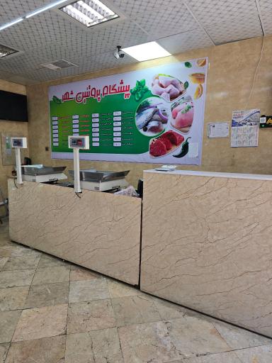 عکس مرغ سحر کمالی