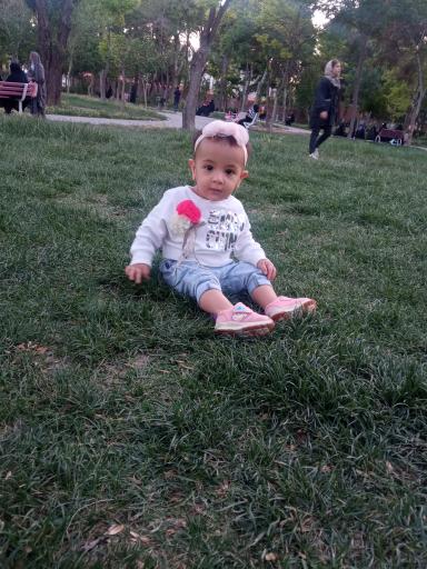 عکس بوستان توحید