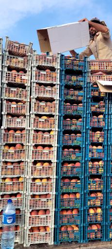 عکس آسان بار ساری