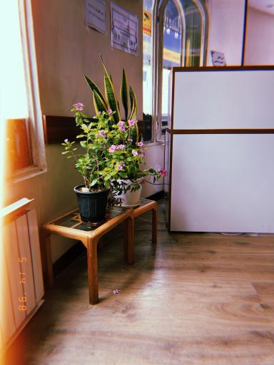 عکس دفتر اسناد رسمی 28ملارد