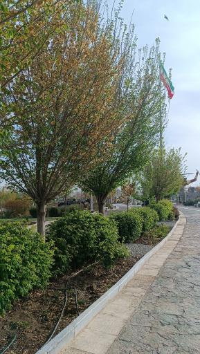 عکس بوستان کوثر