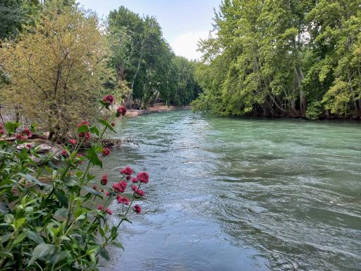 عکس باغ بهادران 