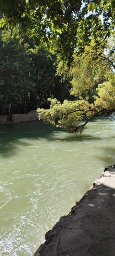 عکس باغ بهادران 