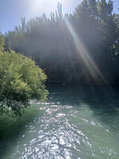 عکس باغ بهادران 