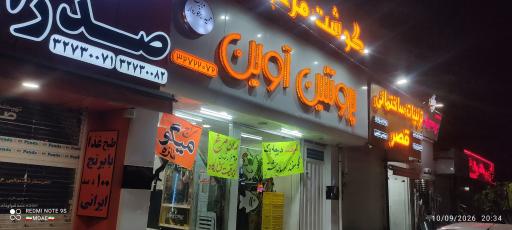 عکس پروتئین آوین(برخوردار)