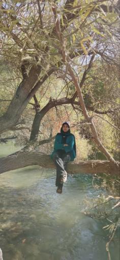 عکس باغ بهادران 