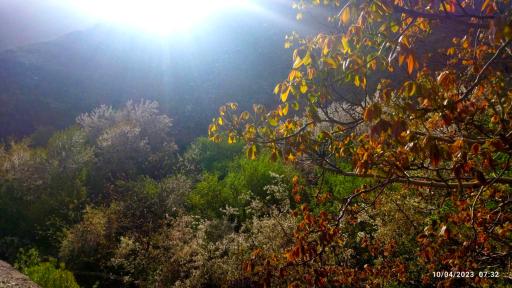 عکس دره کنگ