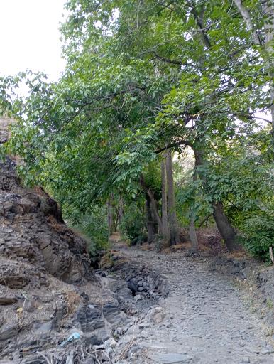 عکس دره کنگ