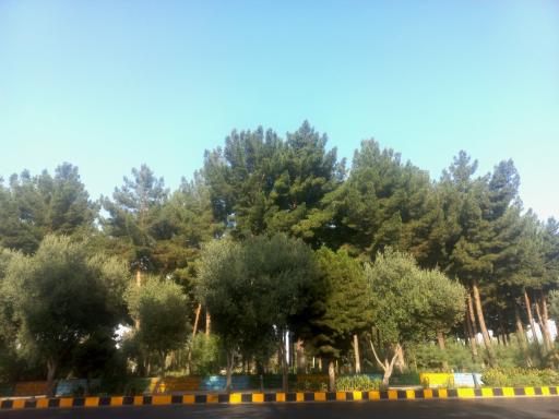 عکس میدان خاتم