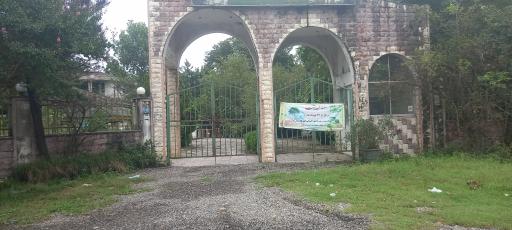 عکس جنگل خشکداران