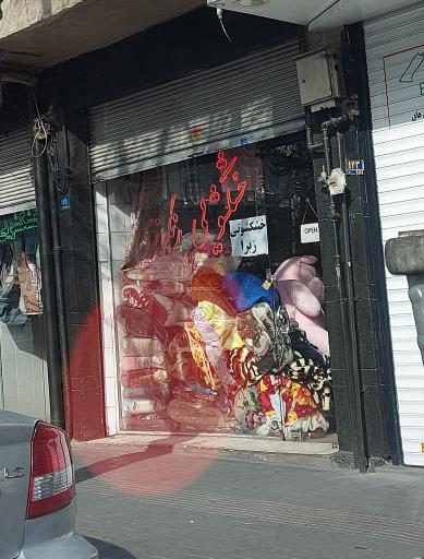 عکس خشکشویی زبرا