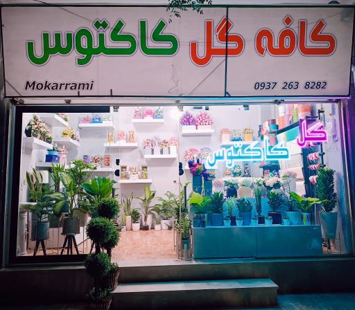 عکس گل فروشی کاکتوس 