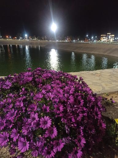 عکس دریاچه مصنوعی آزادی