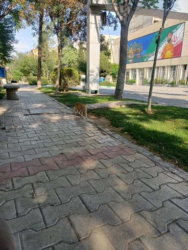 ساختمان خیام