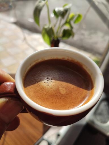 عکس پیتزا ناپل