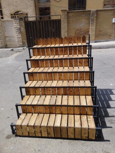 عکس قفسه و رگال ایلیا