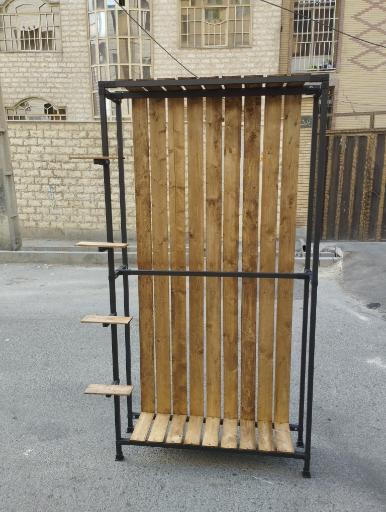 عکس قفسه و رگال ایلیا