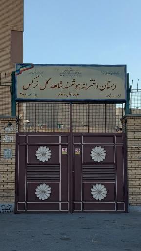 عکس دبستان دخترانه شاهد گل نرگس
