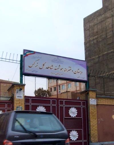 عکس دبستان دخترانه شاهد گل نرگس